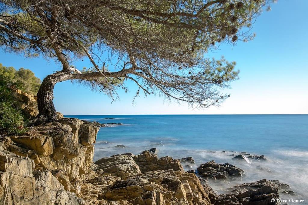 Roquebrune-Sur-Argens, Villa 2 Pieces, 4 Personnes Экстерьер фото